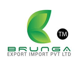 Brunga Logo